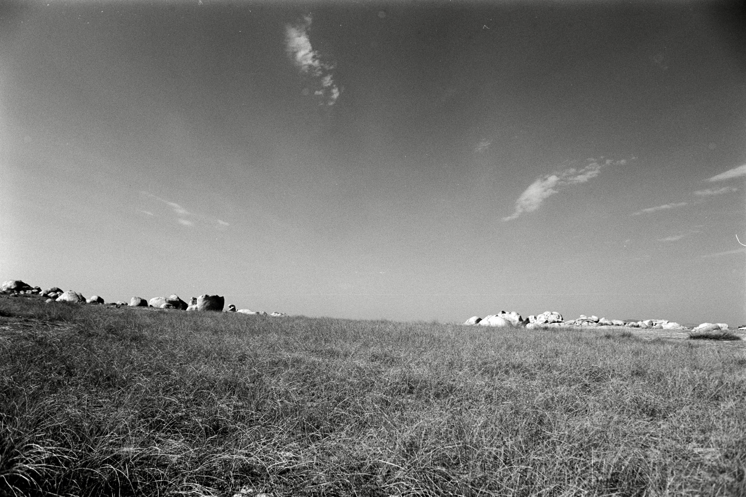 AHP F1991 09 004 sc240914 img27 NLP